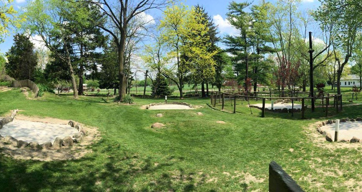 Real Sand & Real Grass vs. Traditional Putt-Putt