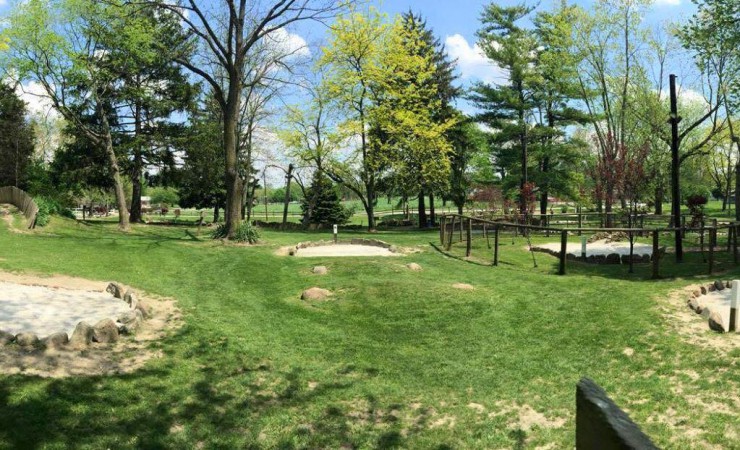 Real Sand & Real Grass vs. Traditional Putt-Putt