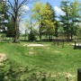 Real Sand & Real Grass vs. Traditional Putt-Putt